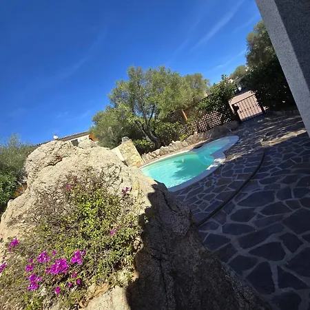 Bellissima Piscina 8 Pax 1500 Mt Dal Mare Fmp-cat01-pi Monte Petrosu